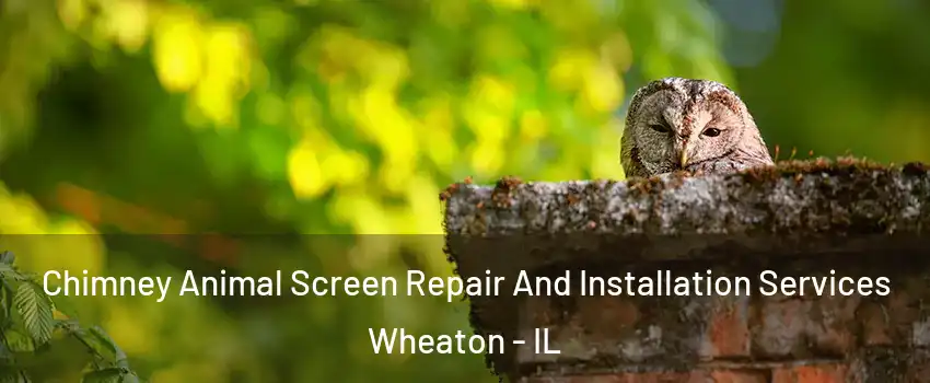  Chimney Animal Screen Repair And Installation Services Wheaton - IL