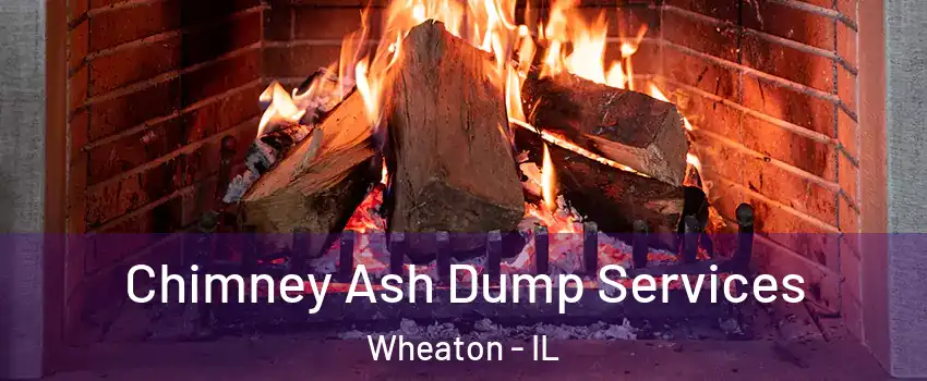  Chimney Ash Dump Services Wheaton - IL