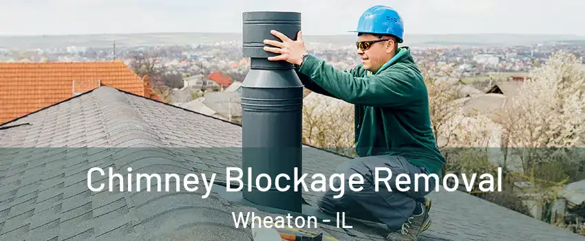  Chimney Blockage Removal Wheaton - IL
