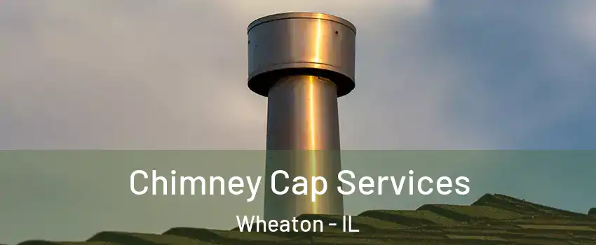  Chimney Cap Services Wheaton - IL
