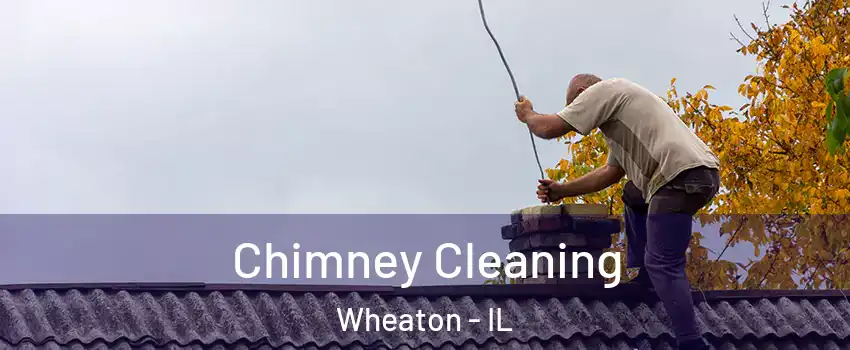  Chimney Cleaning Wheaton - IL