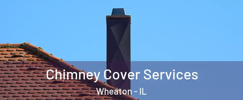  Chimney Cover Services Wheaton - IL