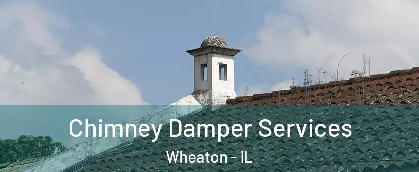  Chimney Damper Services Wheaton - IL