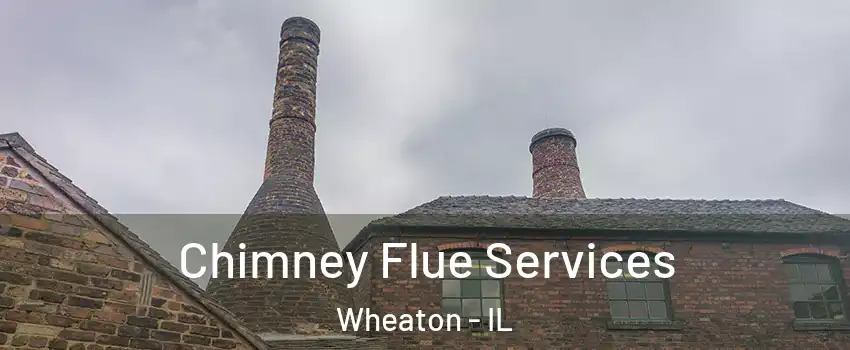  Chimney Flue Services Wheaton - IL