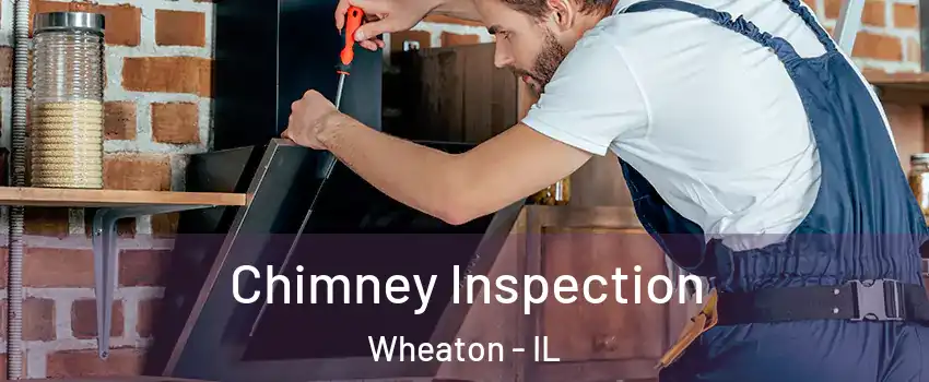  Chimney Inspection Wheaton - IL
