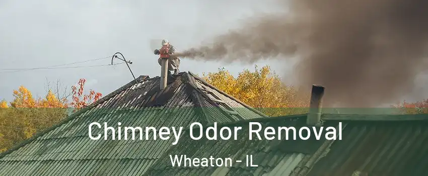  Chimney Odor Removal Wheaton - IL