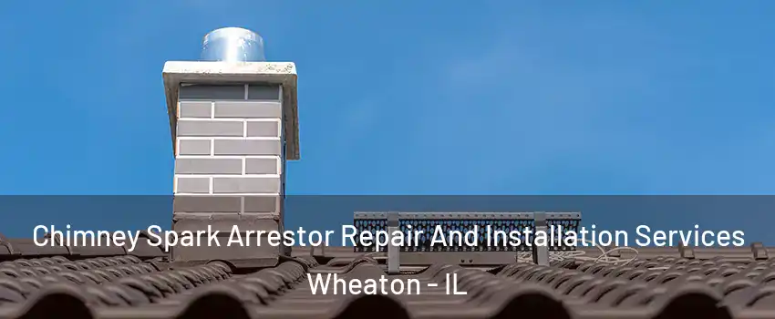  Chimney Spark Arrestor Repair And Installation Services Wheaton - IL