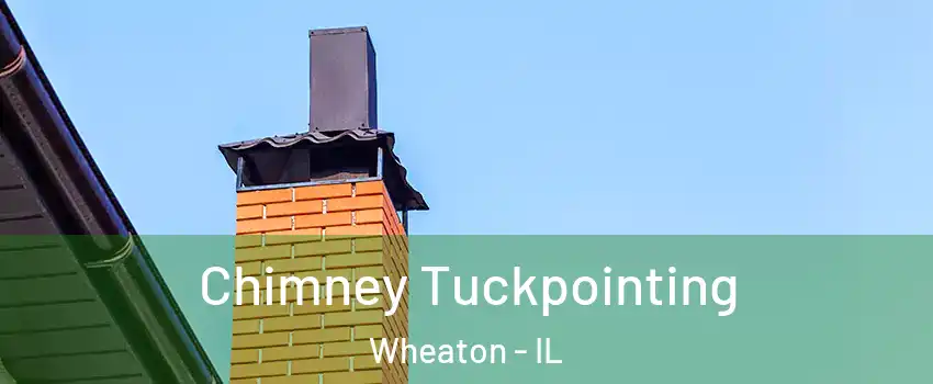  Chimney Tuckpointing Wheaton - IL