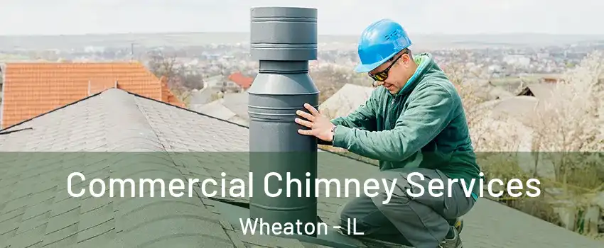  Commercial Chimney Services Wheaton - IL