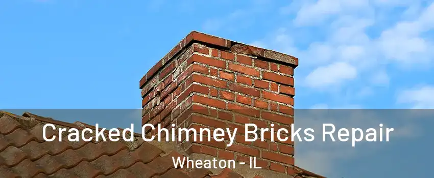  Cracked Chimney Bricks Repair Wheaton - IL