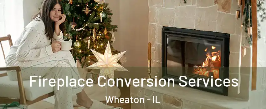  Fireplace Conversion Services Wheaton - IL