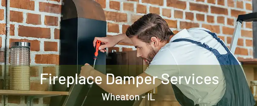  Fireplace Damper Services Wheaton - IL