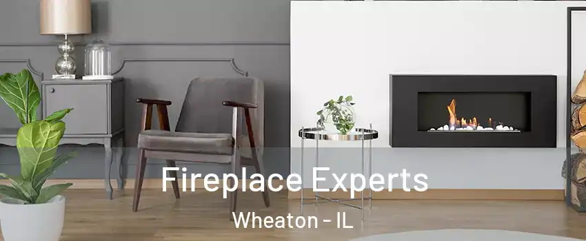  Fireplace Experts Wheaton - IL