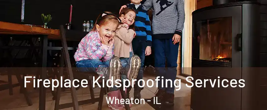  Fireplace Kidsproofing Services Wheaton - IL