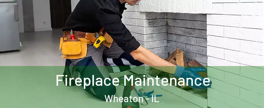  Fireplace Maintenance Wheaton - IL