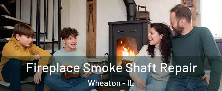  Fireplace Smoke Shaft Repair Wheaton - IL