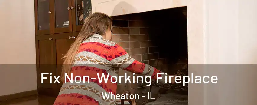  Fix Non-Working Fireplace Wheaton - IL