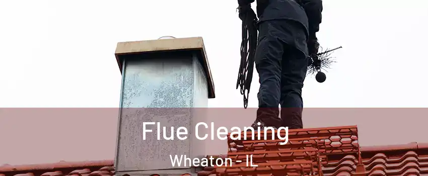  Flue Cleaning Wheaton - IL
