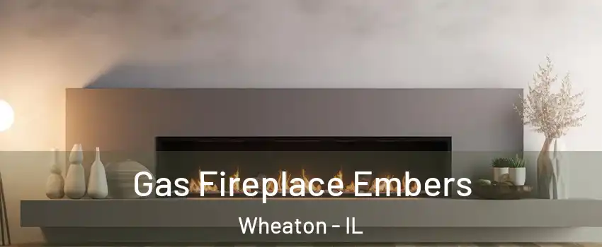  Gas Fireplace Embers Wheaton - IL