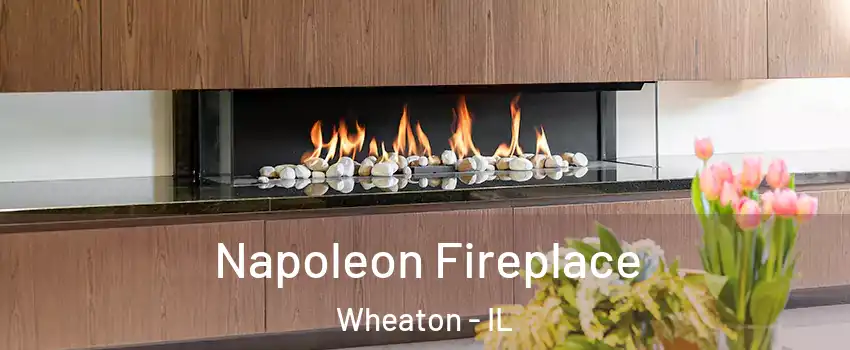 Napoleon Fireplace Wheaton - IL