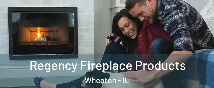  Regency Fireplace Products Wheaton - IL